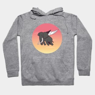 Flying Elephant Hoodie